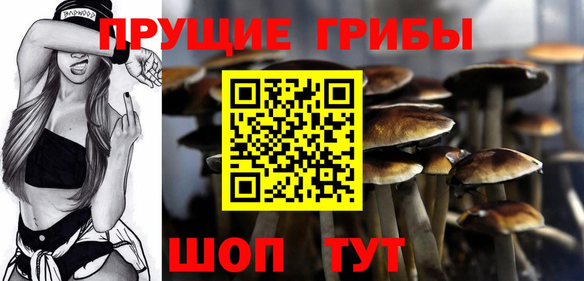 Псилоцибиновые грибы MAGIC MUSHROOMS  Псилоцибиновые грибы Psilocybe  Вход с VPN  Нурлат 