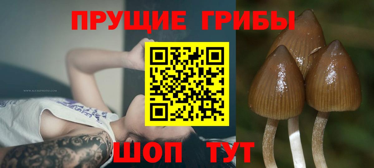 Галлюциногенные грибы GOLDEN TEACHER Нурлат